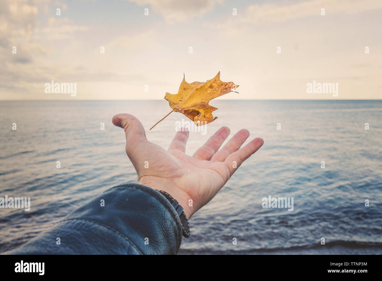 Portrait de l'homme main attraper des feuilles d'automne par le lac Supérieur contre le ciel au coucher du soleil Banque D'Images
