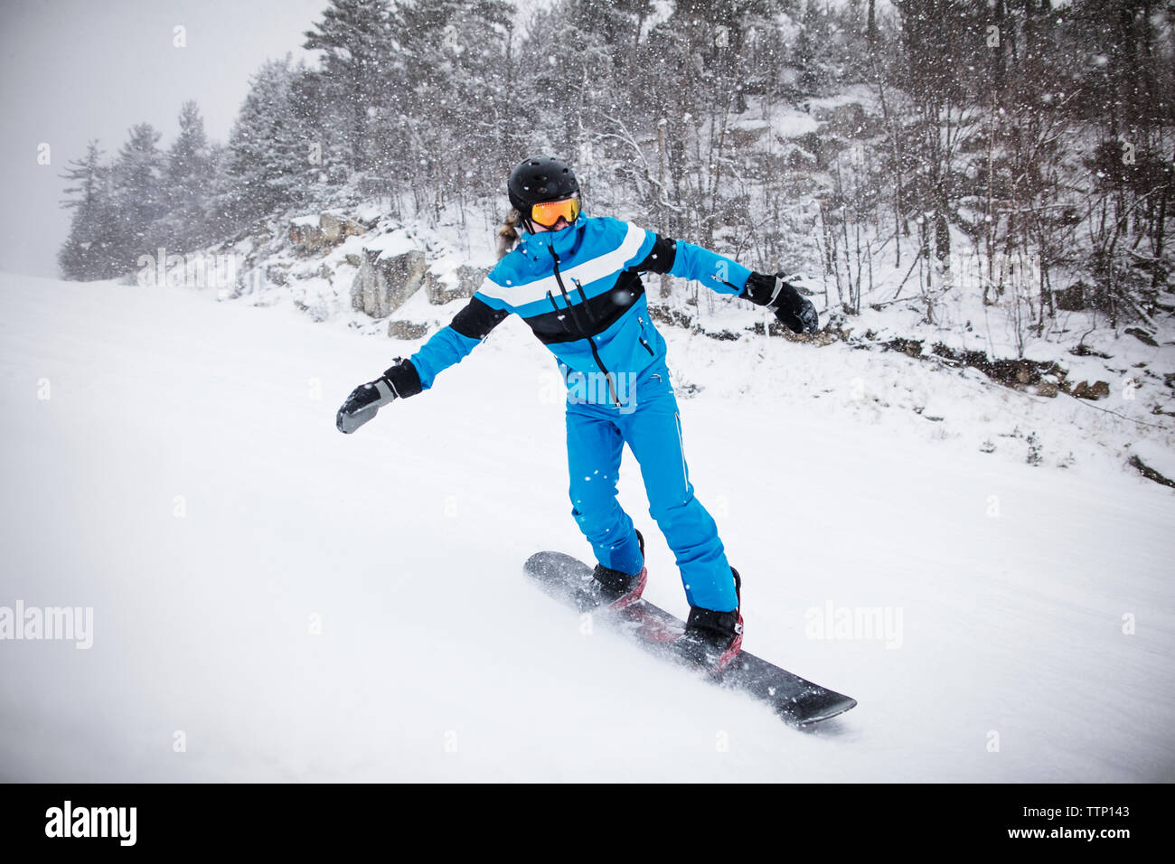 Snowboard homme par des arbres sur la montagne couverte de neige Banque D'Images