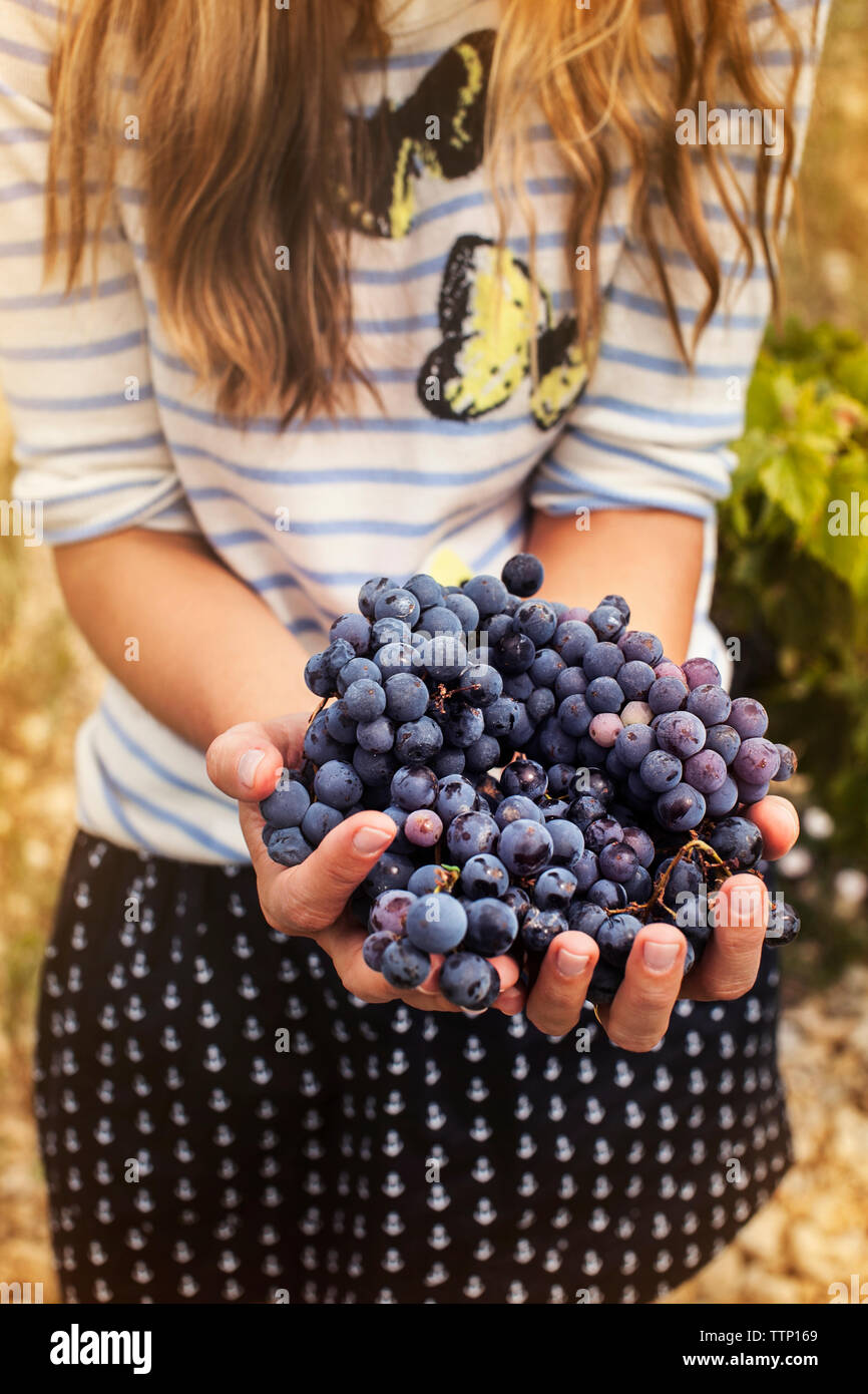 Midsection of woman holding raisins frais Banque D'Images