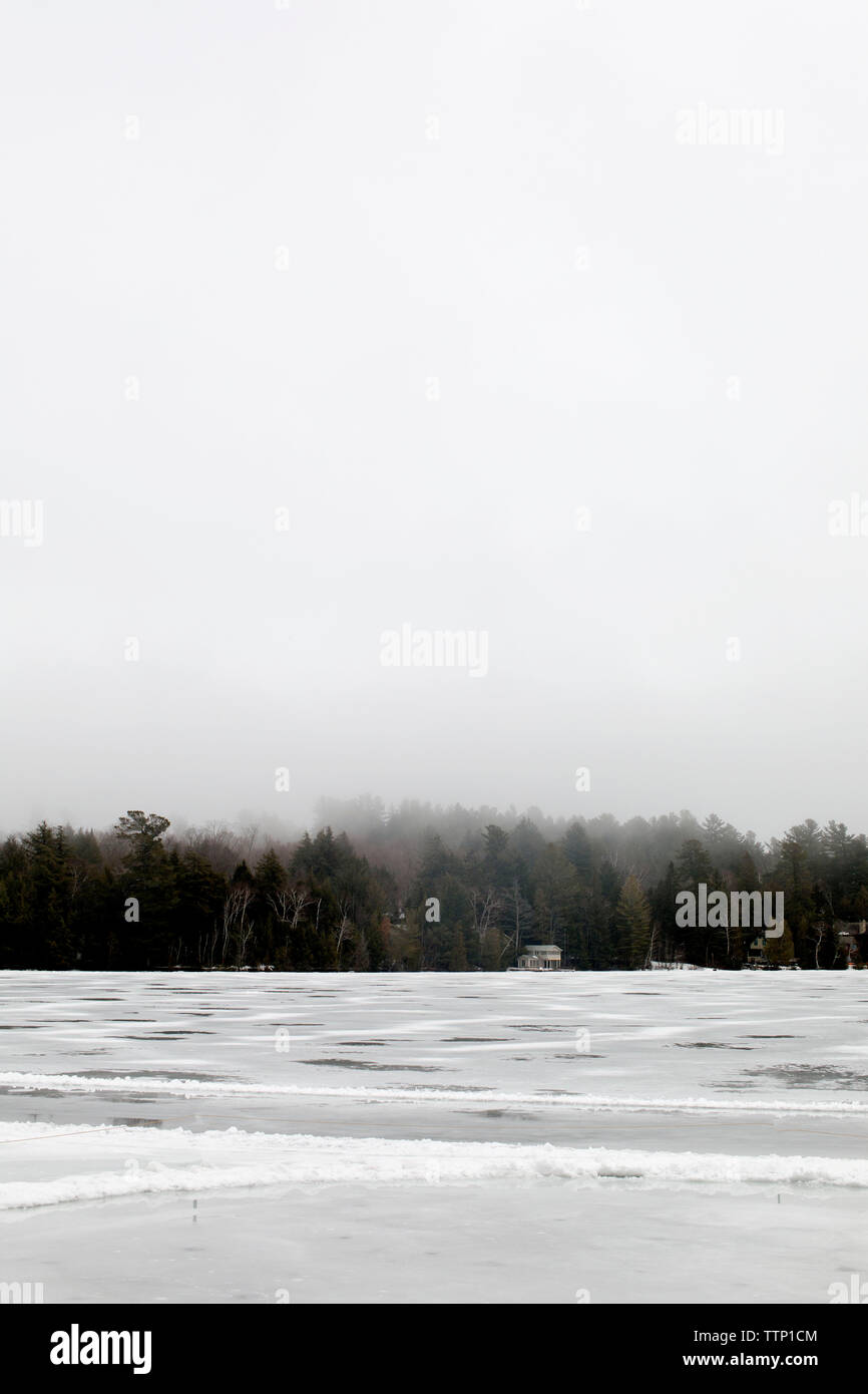 Vue panoramique du champ couvert de neige contre ciel clair Banque D'Images