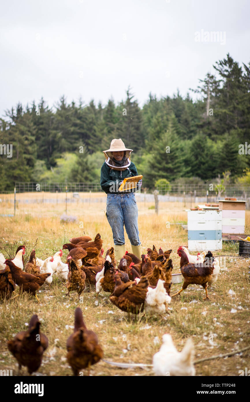 Les femmes qui travaillent à l'apiculteur ferme avec poules en premier plan Banque D'Images