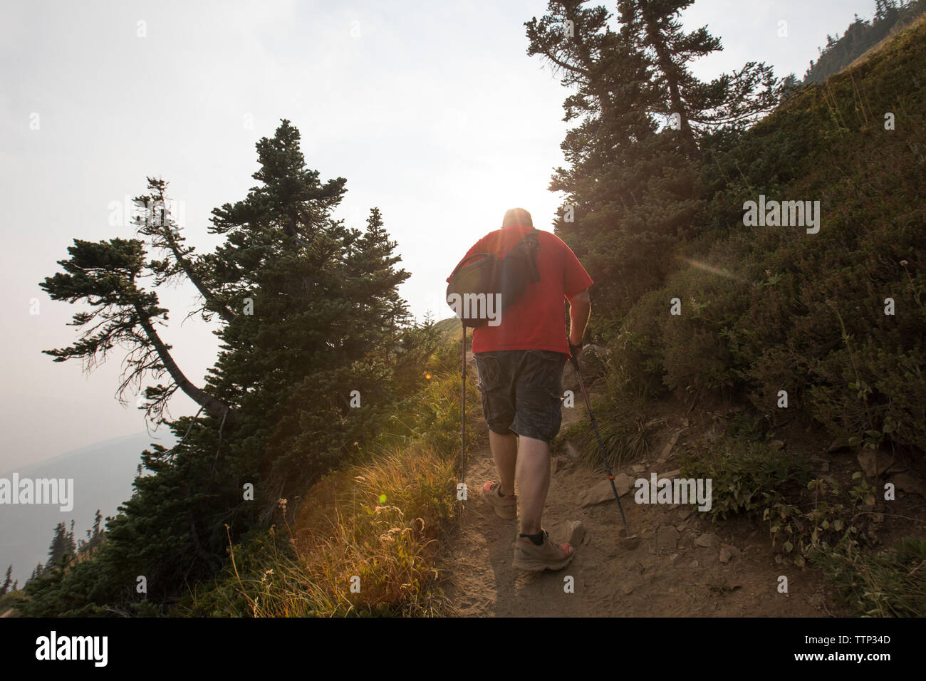Vue arrière du randonneur avec pôles de randonnée Randonnée en montagne Banque D'Images