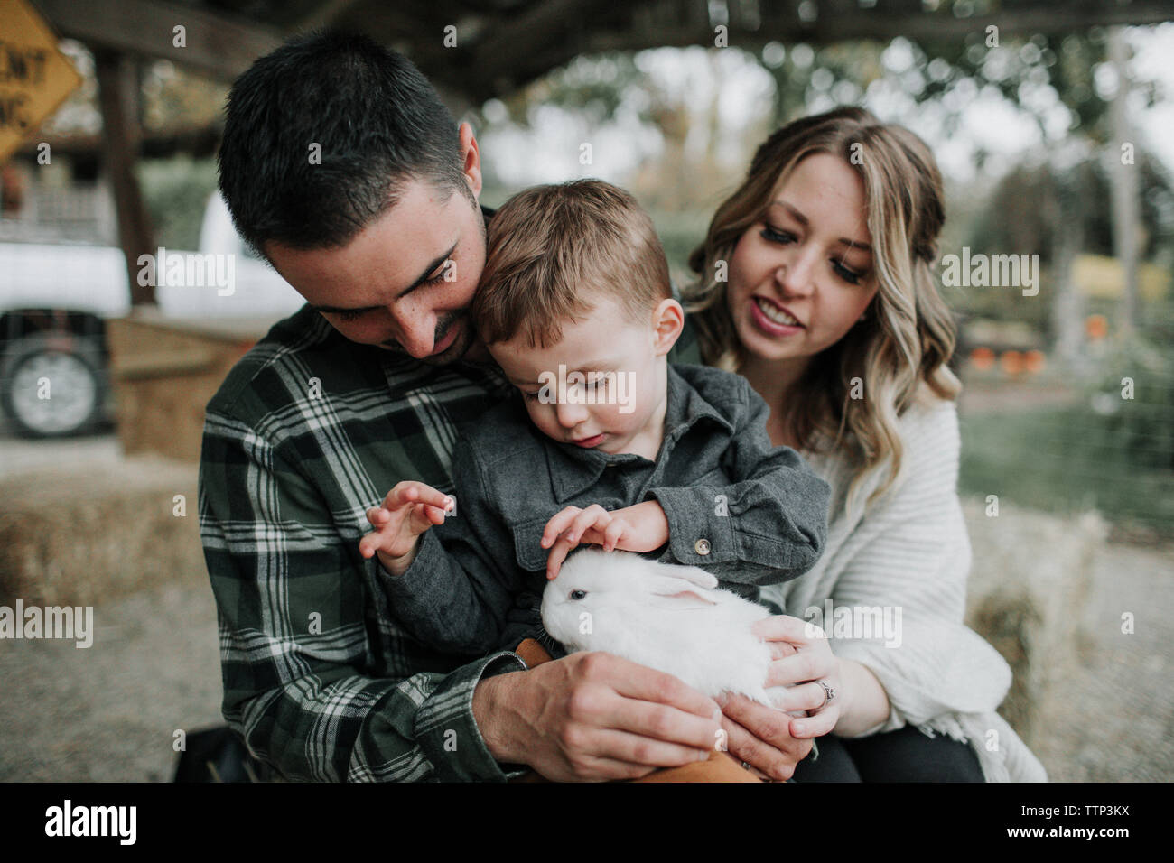 Lapin mignon fils toucher alors qu'il était assis avec les parents à la ferme Banque D'Images