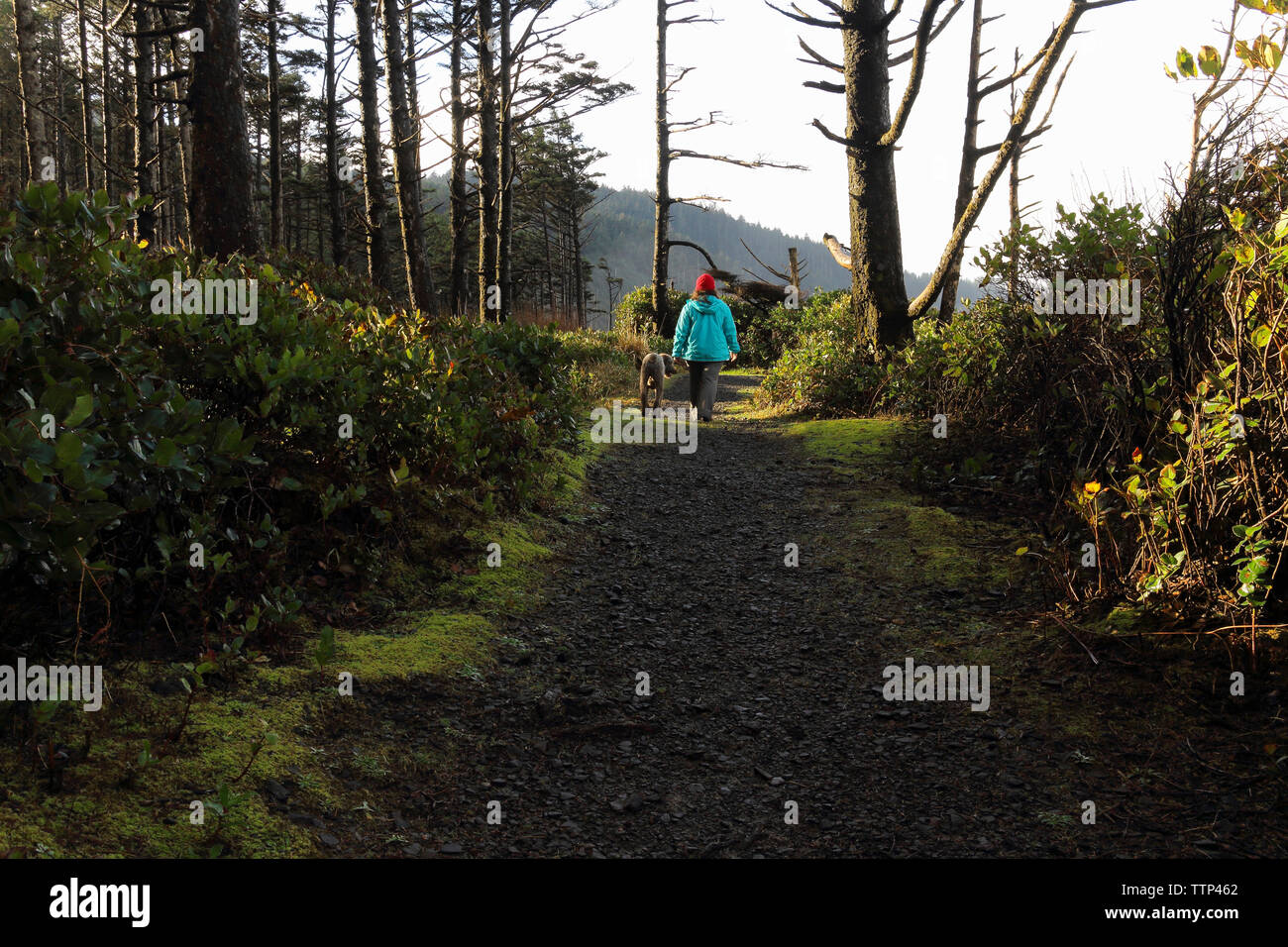 Vue arrière du femme avec chien marche sur chemin de terre au milieu de la forêt de Cape Lookout State Park Banque D'Images