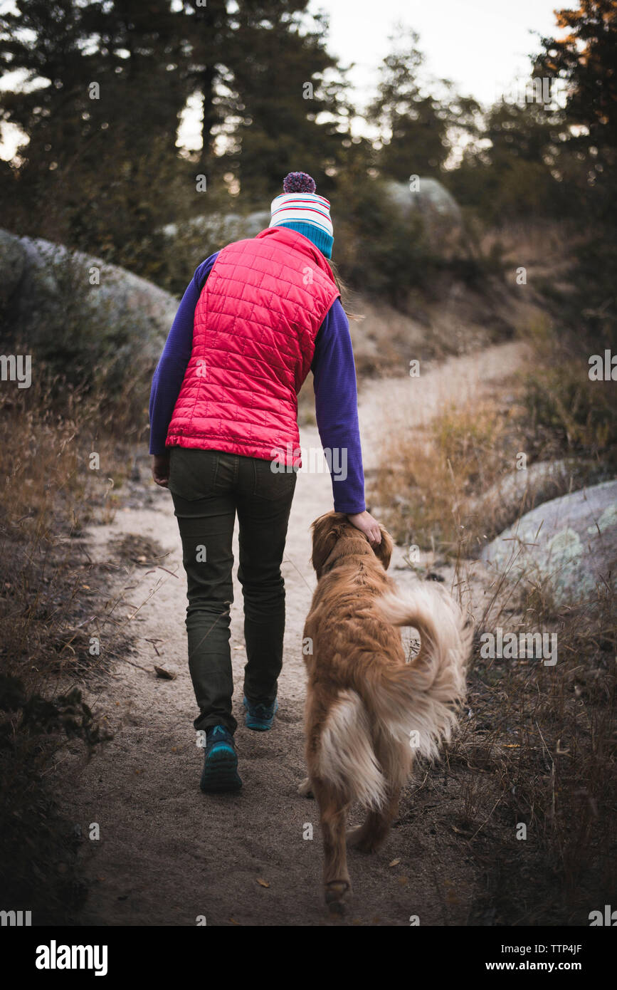 Rear view of woman walking with dog on sand Banque D'Images