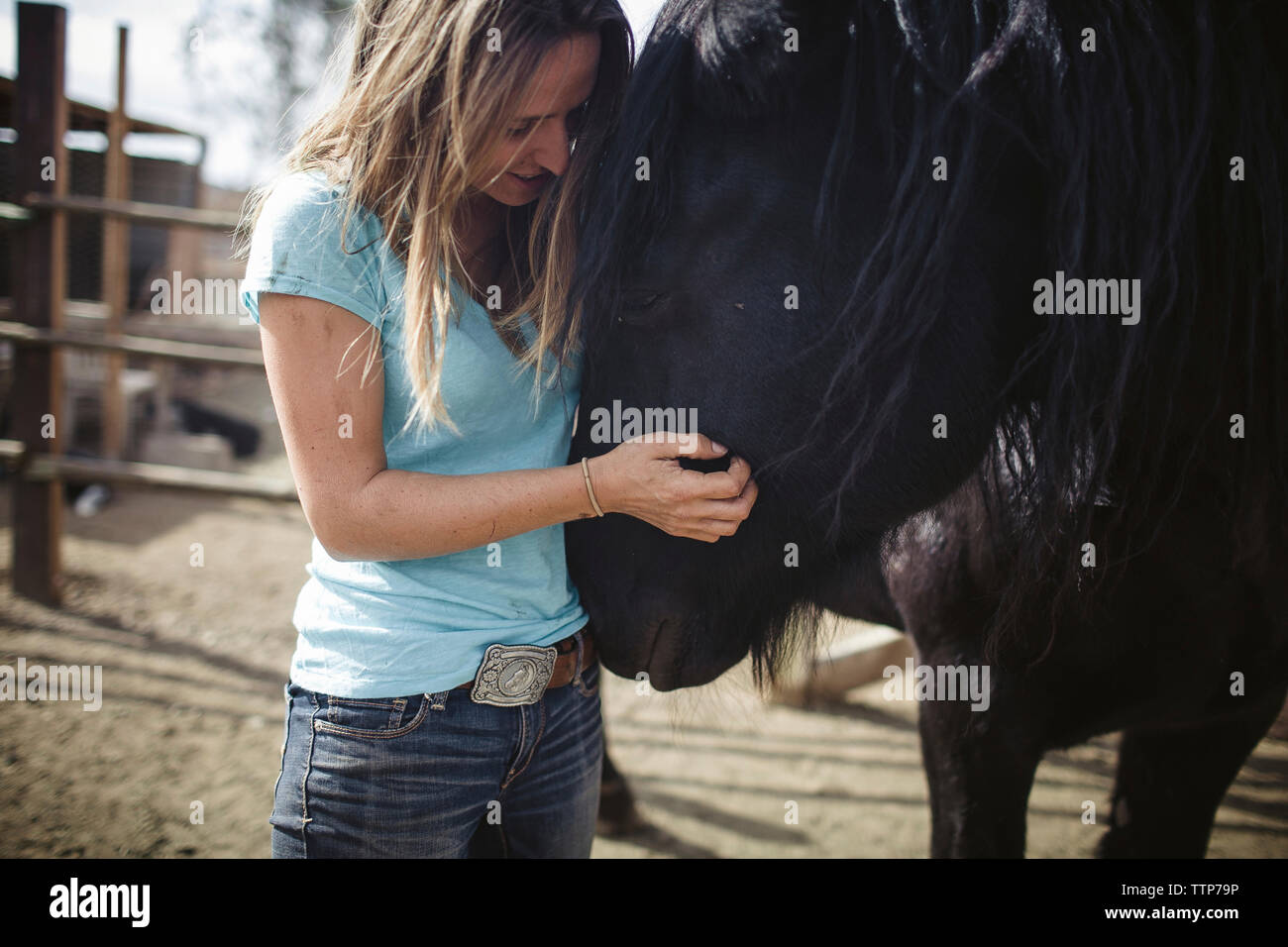 Jeune femme caressant tout en se tenant à cheval barn Banque D'Images