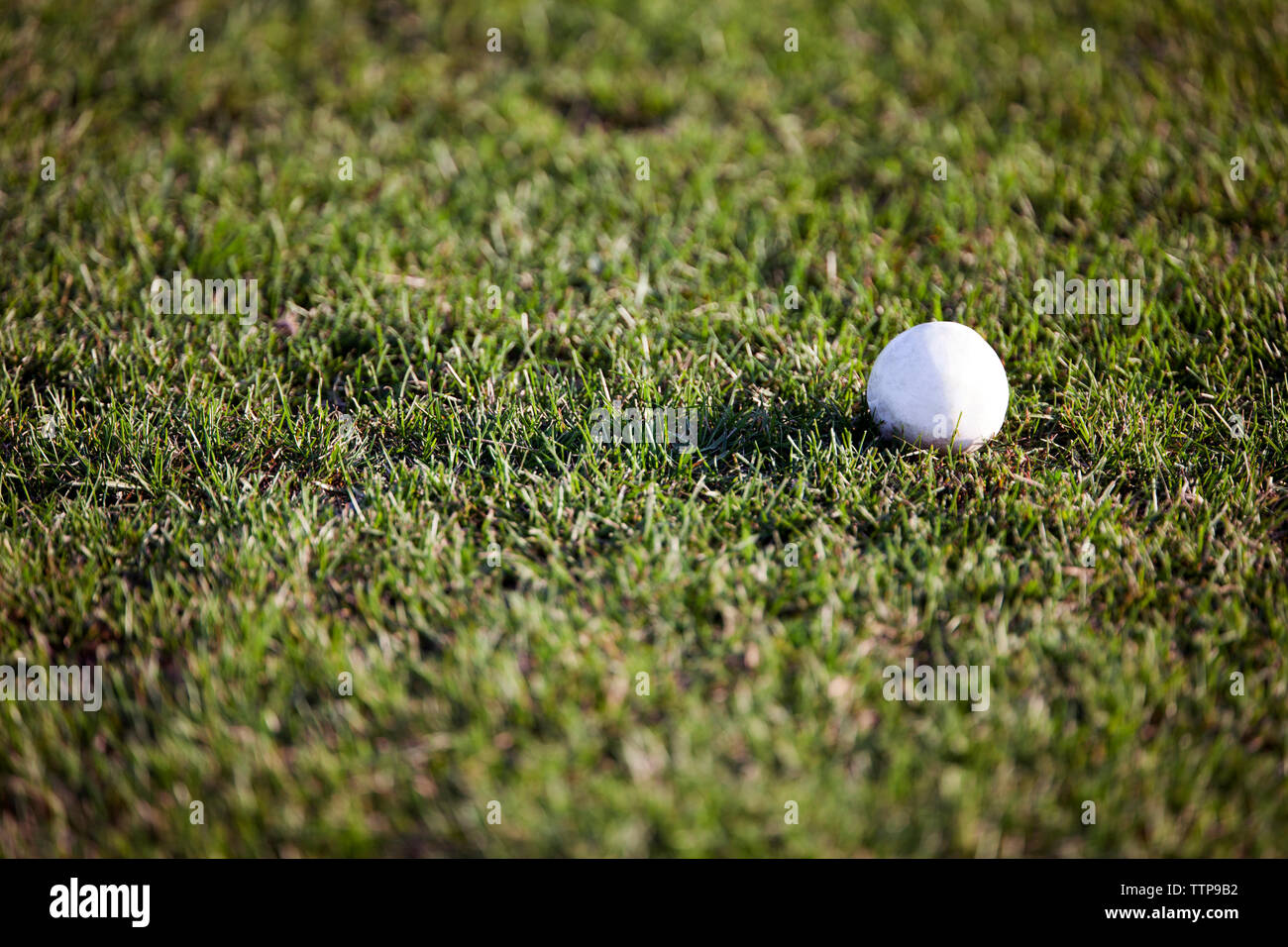 High angle view of ball on grassy field Banque D'Images