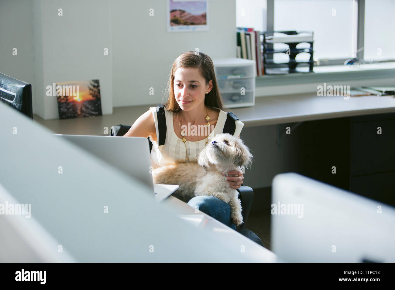 femme d'affaires avec chien à l'aide d'un ordinateur portable au bureau dans le bureau Banque D'Images