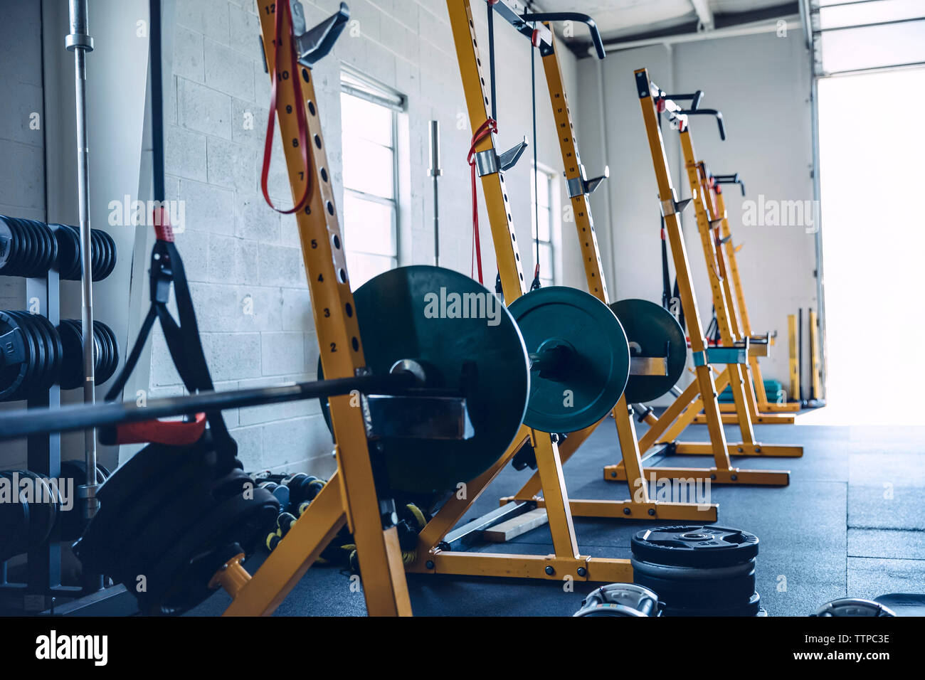 Barbells sur stands against wall in gym Banque D'Images