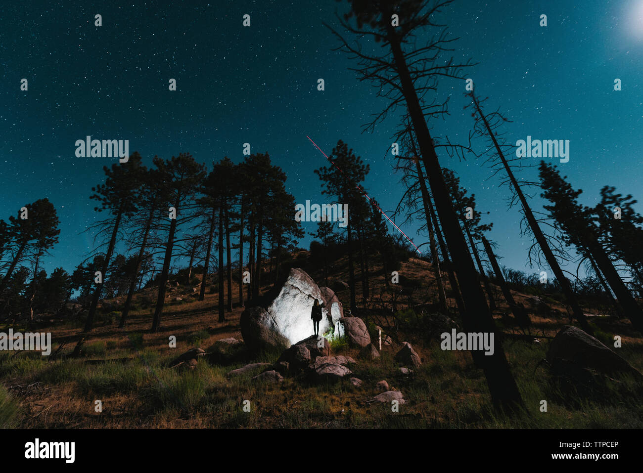 Randonneur debout près des rochers au milieu d'arbres illuminés sur terrain contre le ciel de nuit Banque D'Images