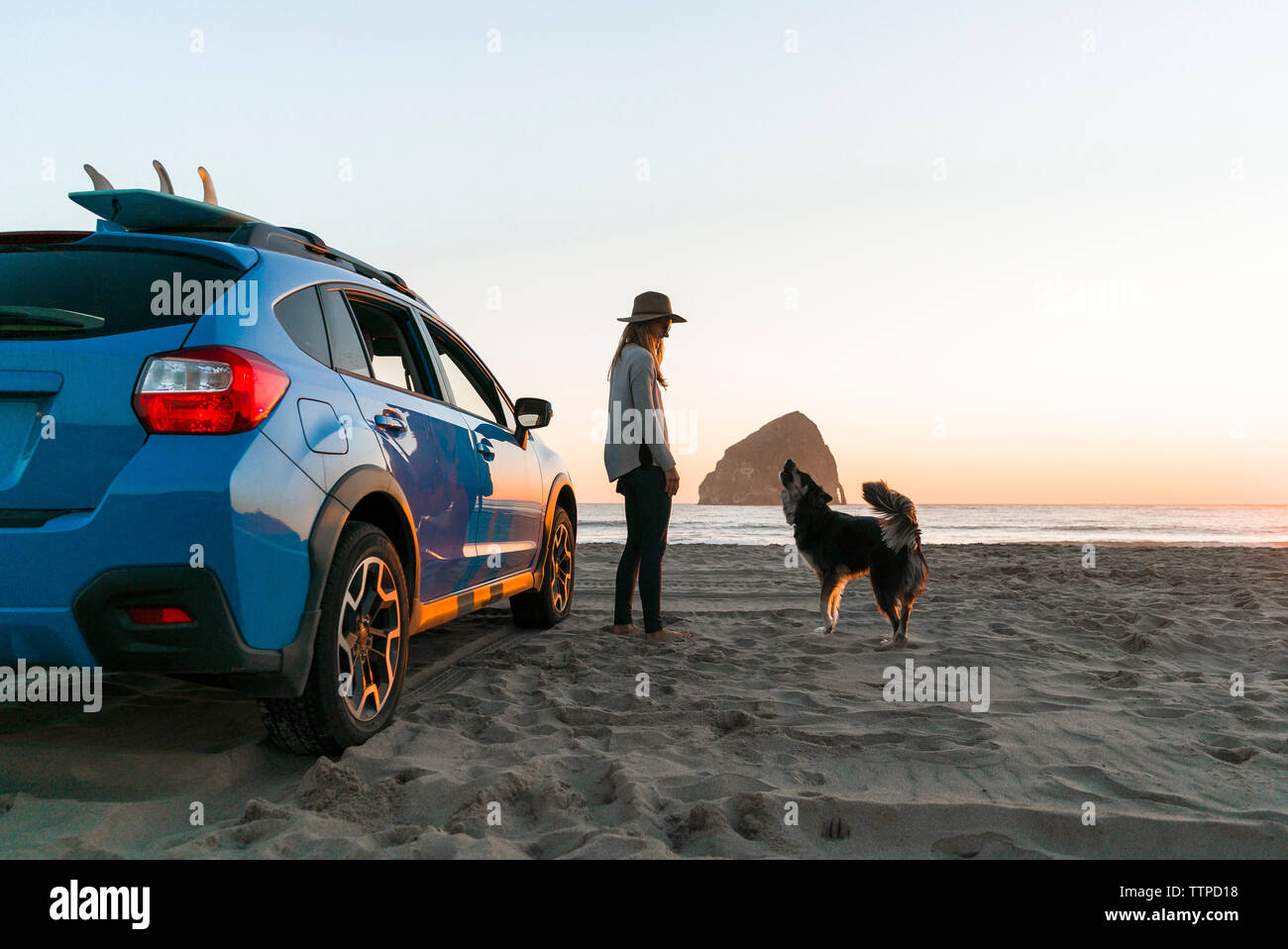 Femme heureuse avec chien en voiture à la plage Banque D'Images