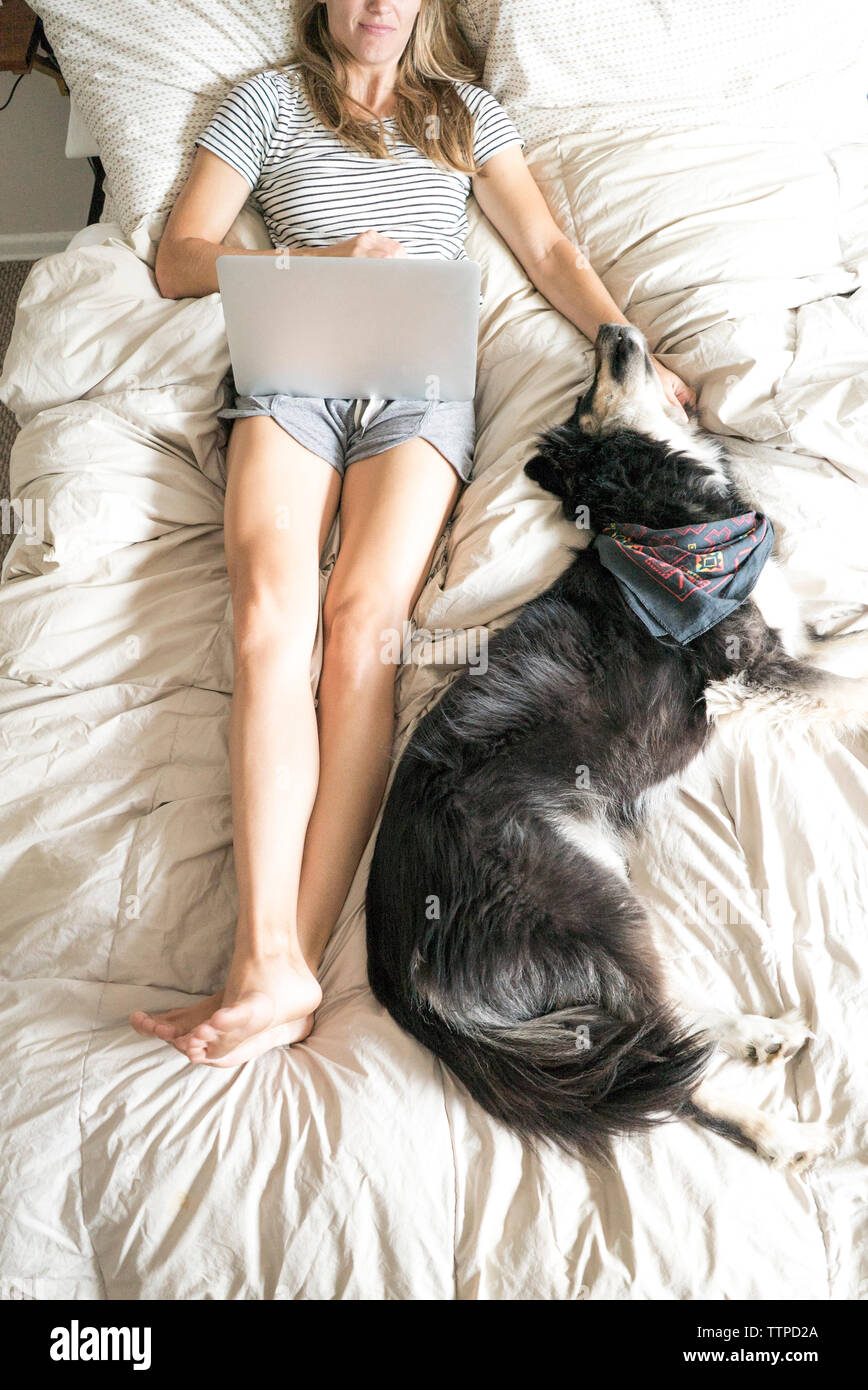 Portrait de femme au chien à l'aide de l'ordinateur portable tout en lying on bed Banque D'Images