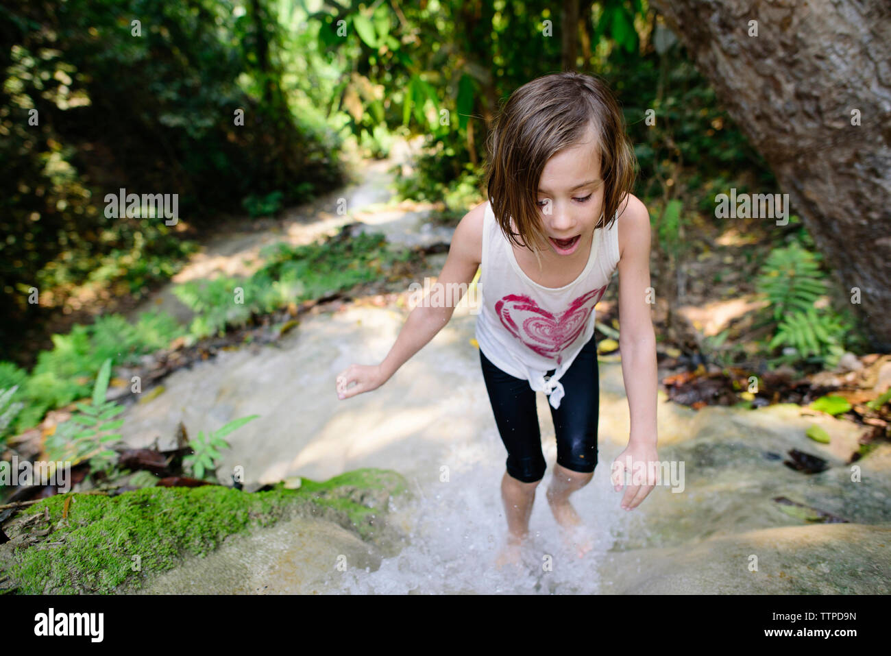 High angle view of Girl standing at Bua Thong Cascades Banque D'Images