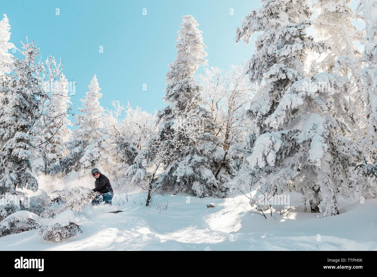 Homme snowboard sur la neige contre des arbres en hiver Banque D'Images