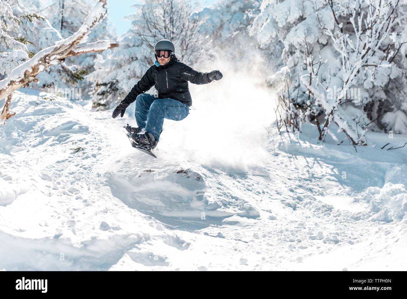 La longueur totale de l'homme snowboard sur la neige contre des arbres en hiver Banque D'Images