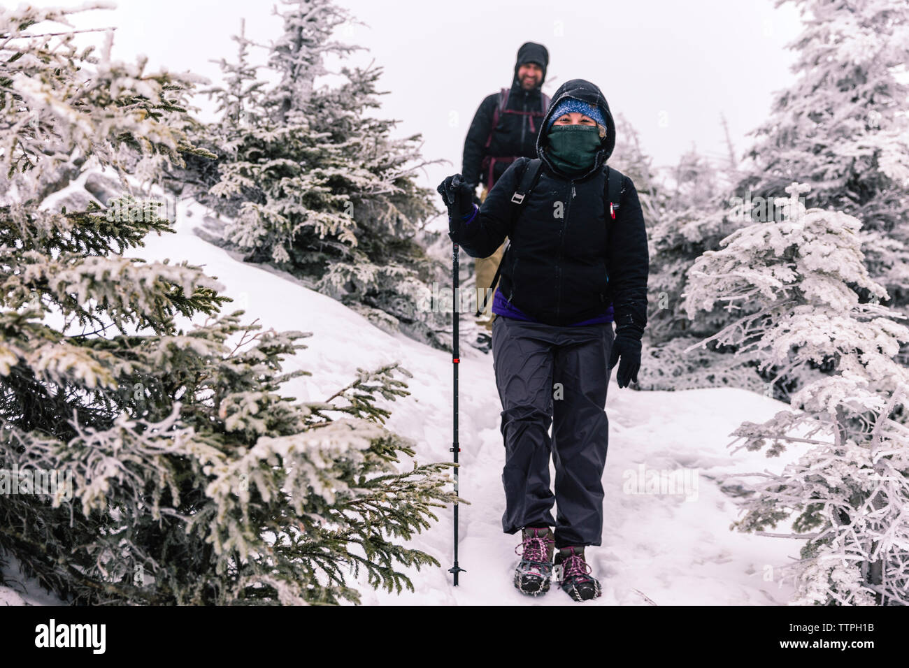 Amis avec des bâtons de marche à la découverte des forêts au cours de l'hiver Banque D'Images