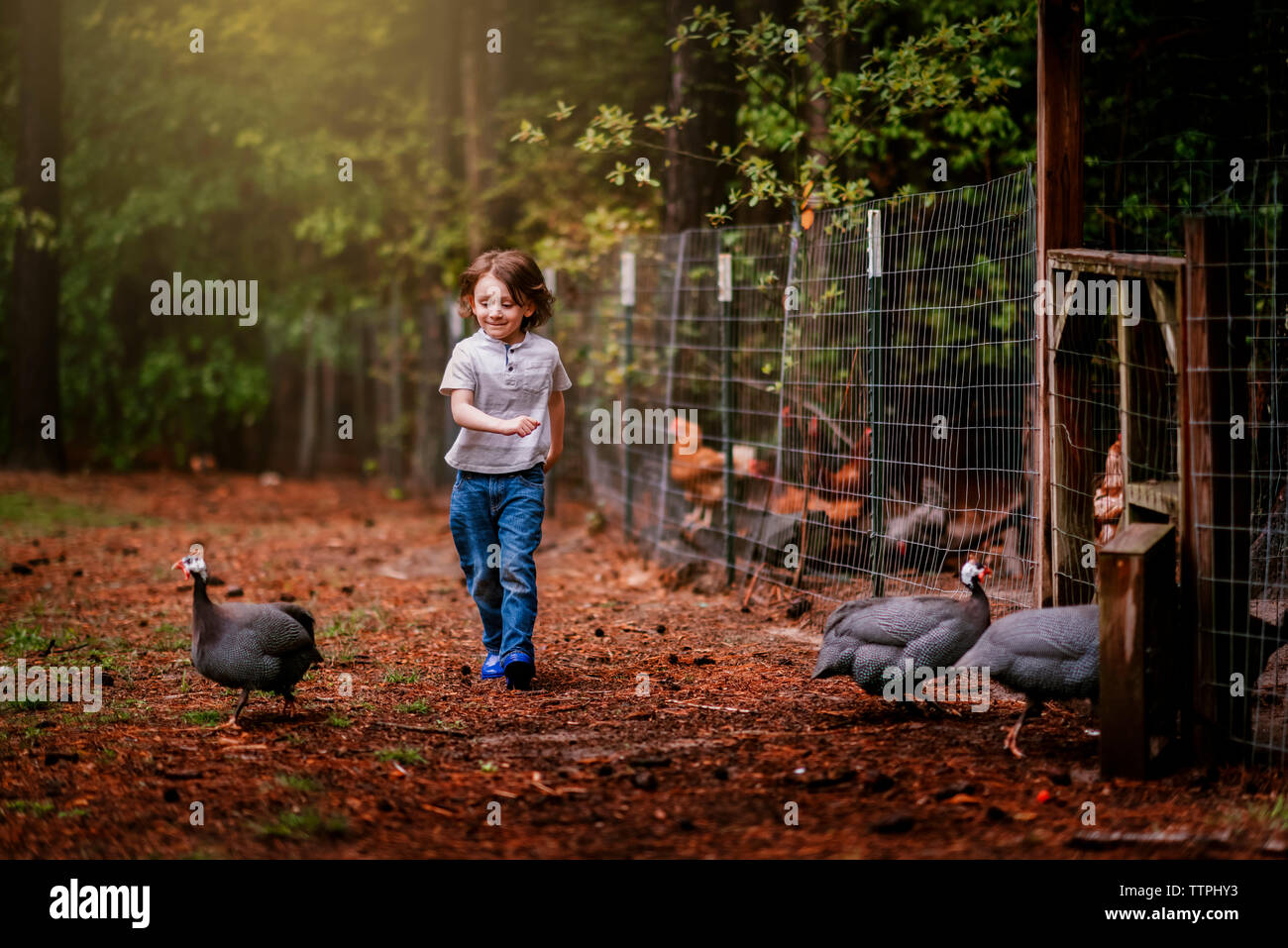Un petit garçon courir après les poulets dans une ferme Banque D'Images