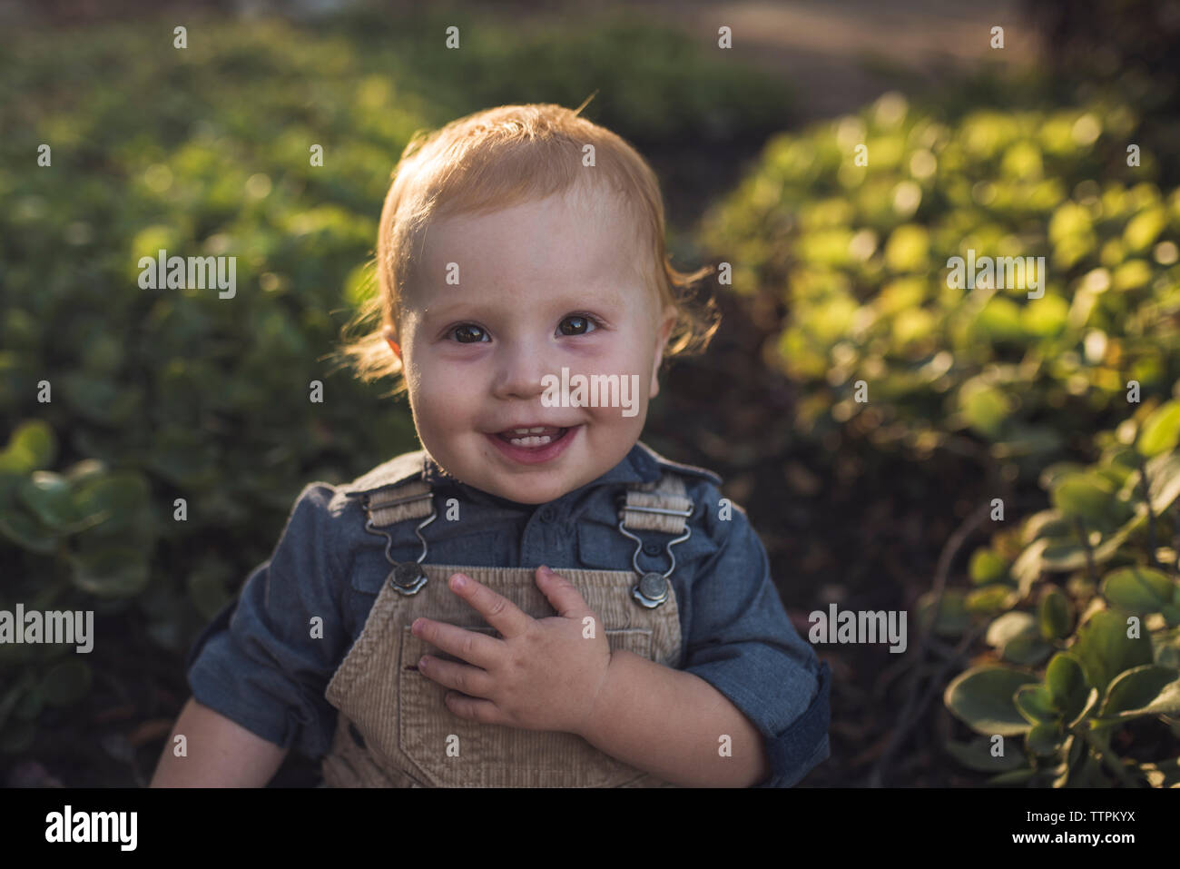 Portrait of happy baby boy standing contre des plantes au parc pendant le coucher du soleil Banque D'Images