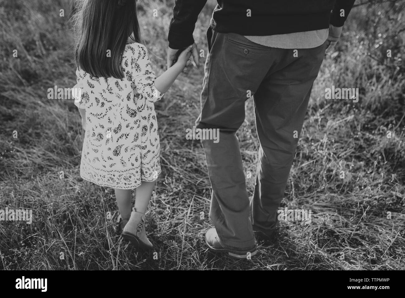 Père et fille marcher main dans la main dans le champ de la Californie Banque D'Images