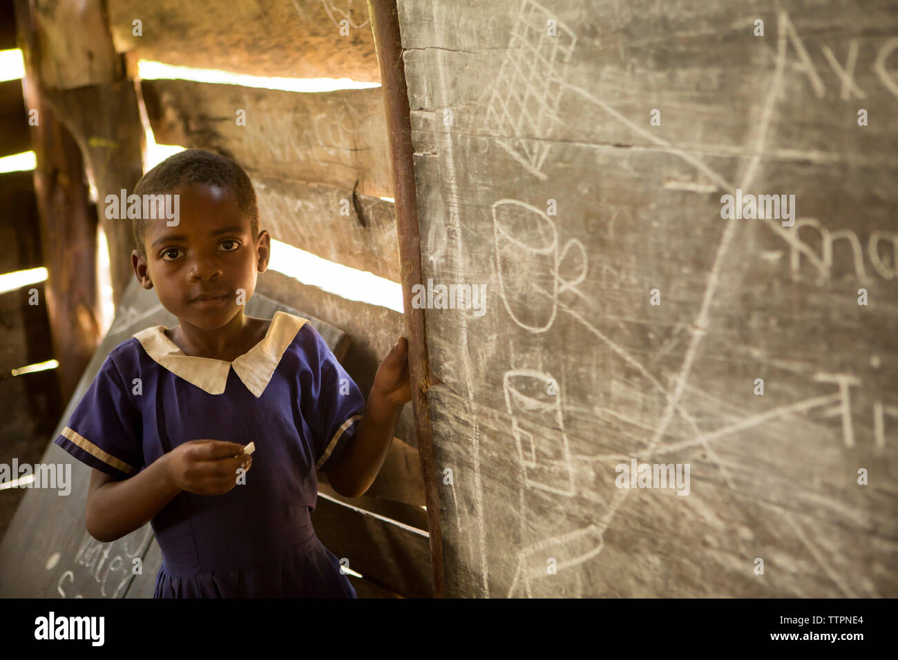 Portrait of Girl standing by blackboard in classroom Banque D'Images