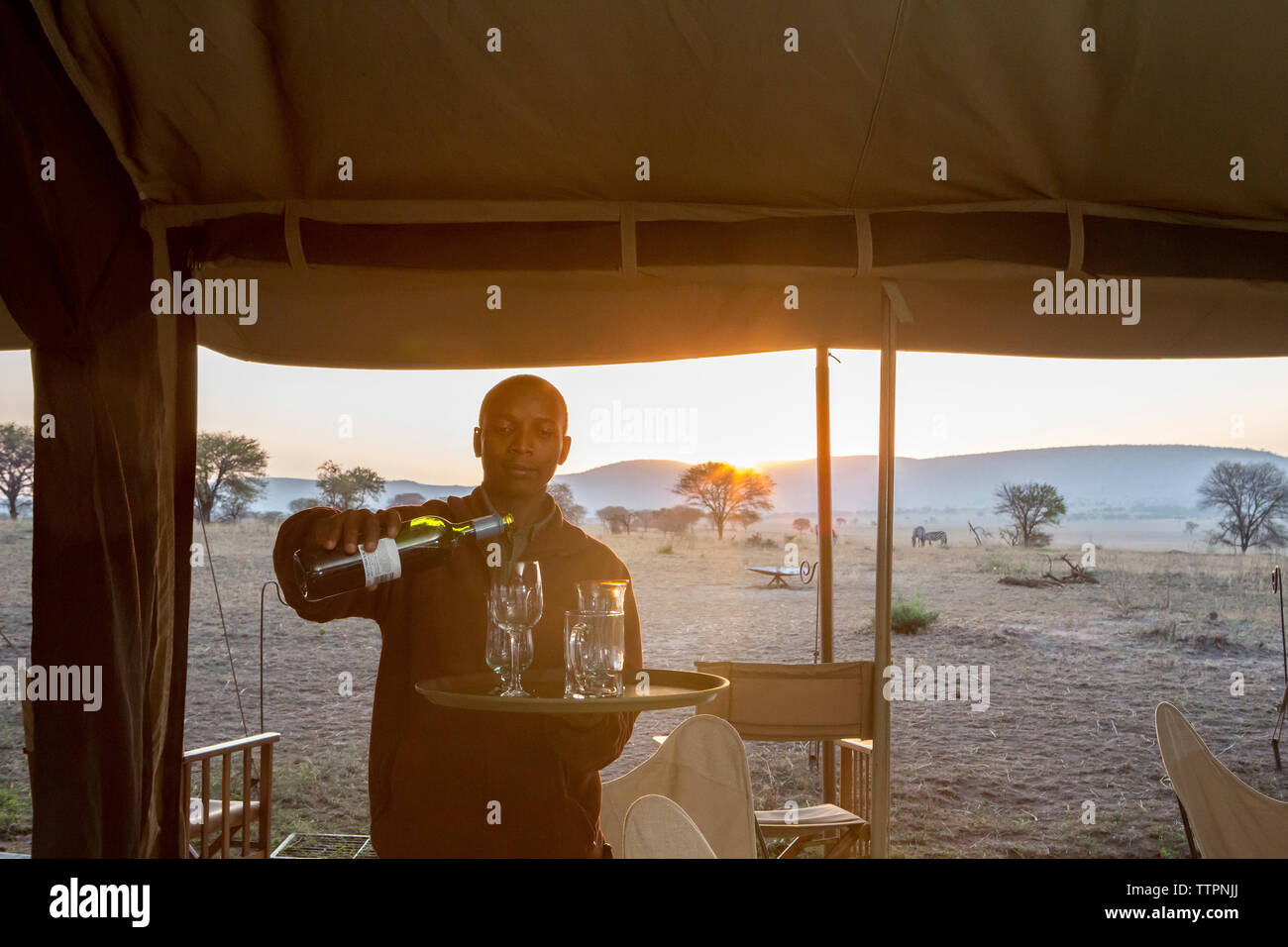 Man pouring boissons dans des verres à boire à Serengeti National Park Banque D'Images