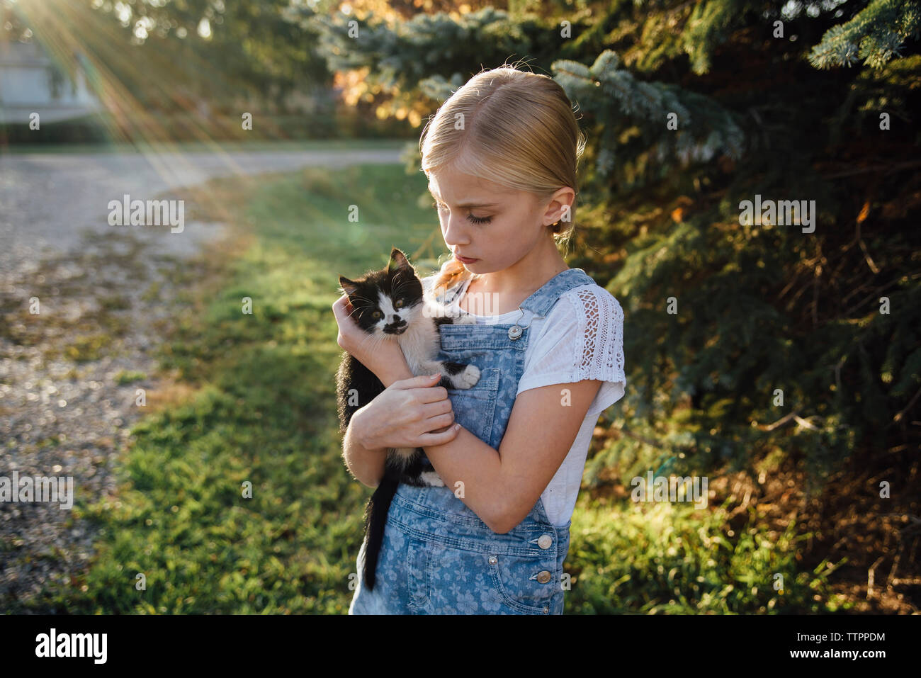 Girl holding cat en se tenant sur le terrain Banque D'Images
