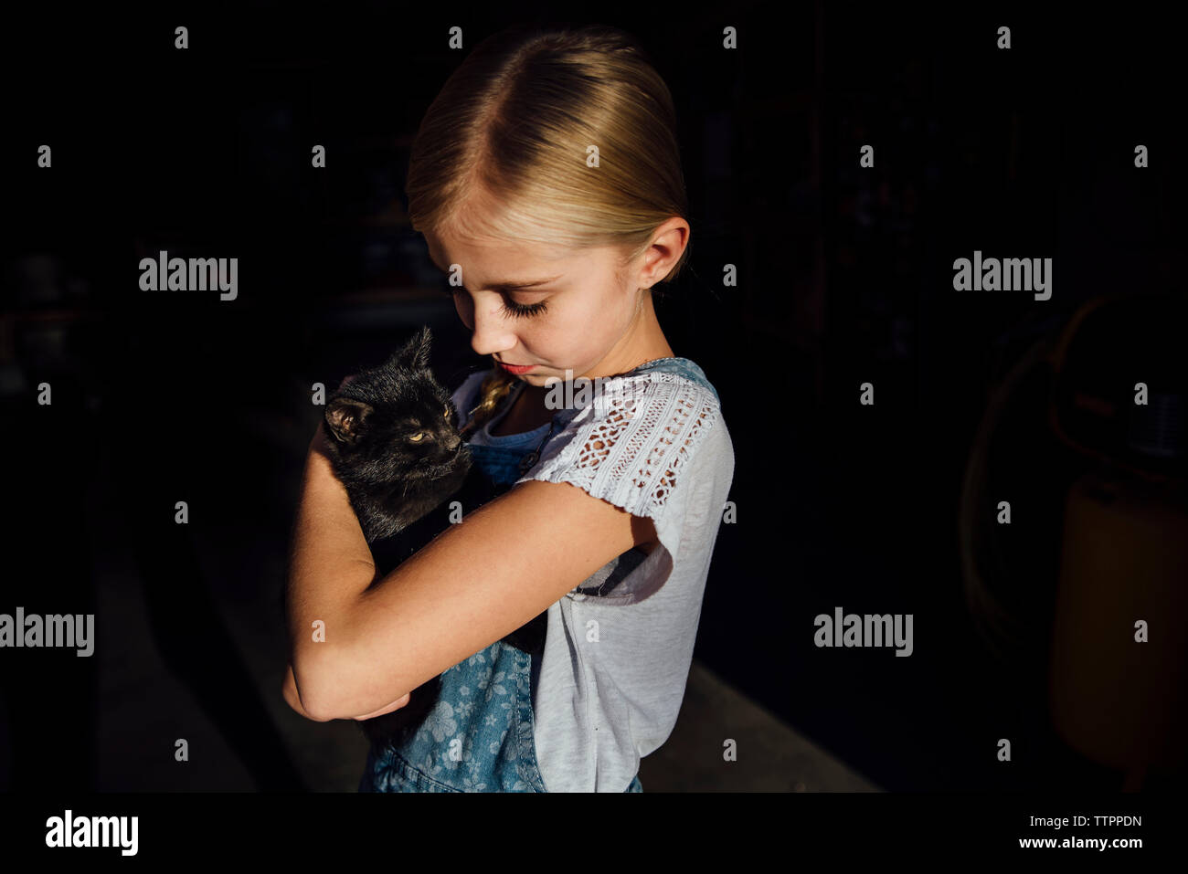 Girl holding cat alors que l'article Banque D'Images