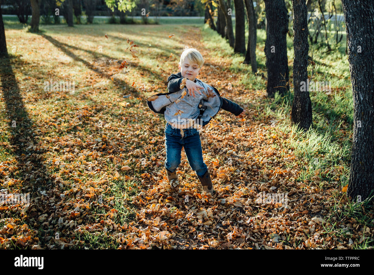 Garçon espiègle de jeter les feuilles d'automne au parc Banque D'Images