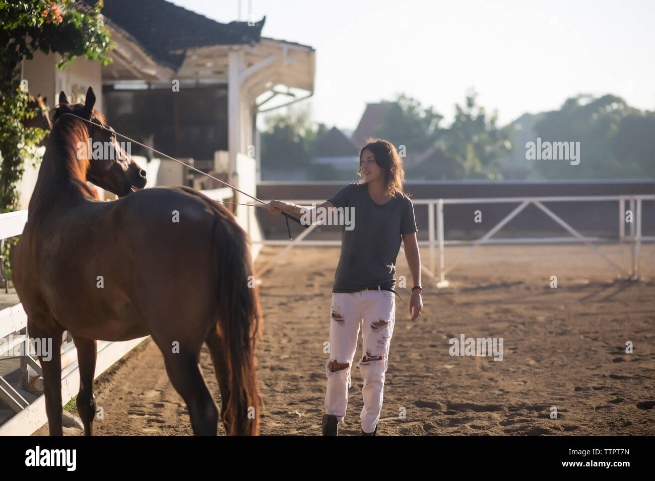 Woman touching cheval avec l'équipement de protection des animaux tout en se tenant au ranch Banque D'Images