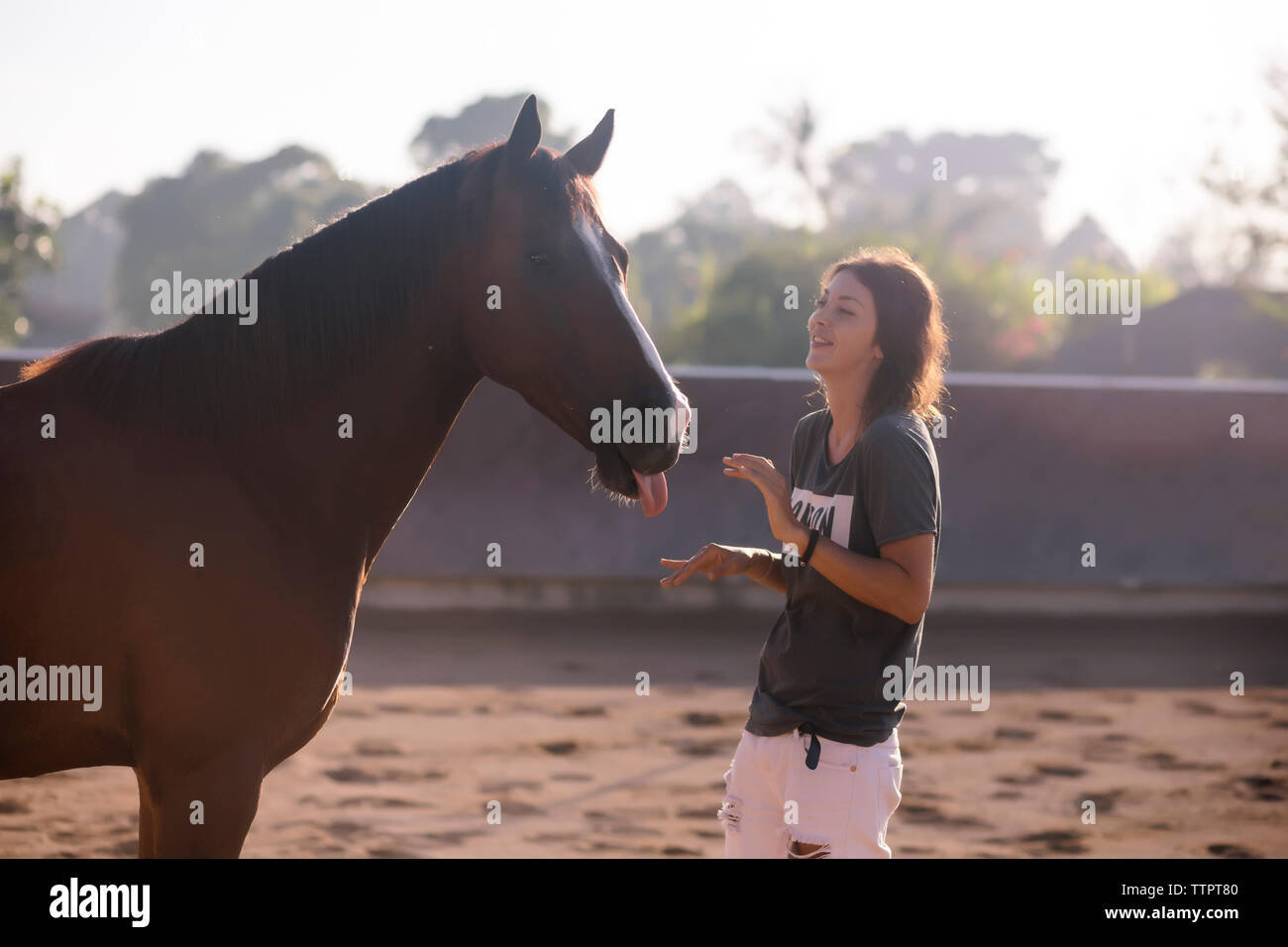 Happy woman looking at horse tout en se tenant au ranch Banque D'Images