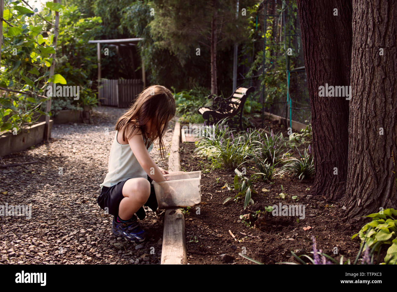 Fille de l'ensemencement dans le jardin communautaire Banque D'Images