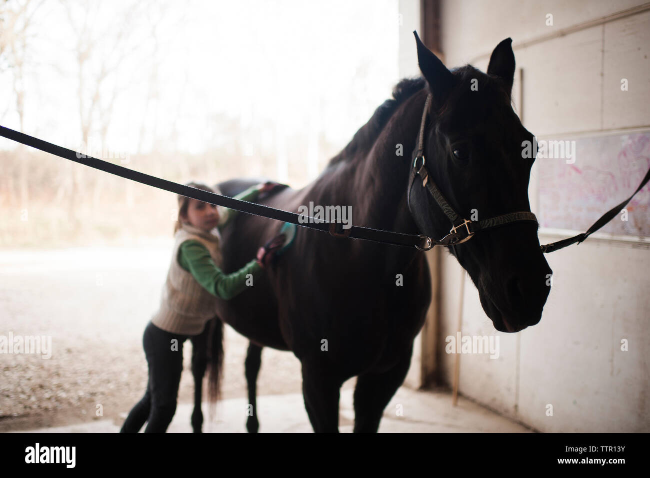 Girl standing by horse stable en Banque D'Images