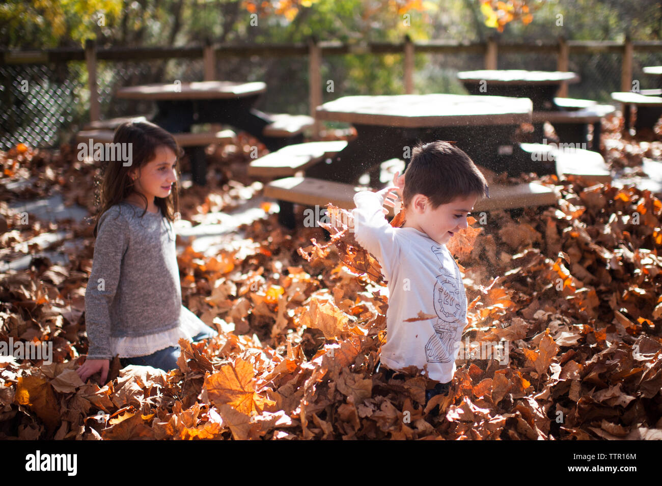 Frères et sœurs à genoux au milieu de l'automne les feuilles tombées du park Banque D'Images