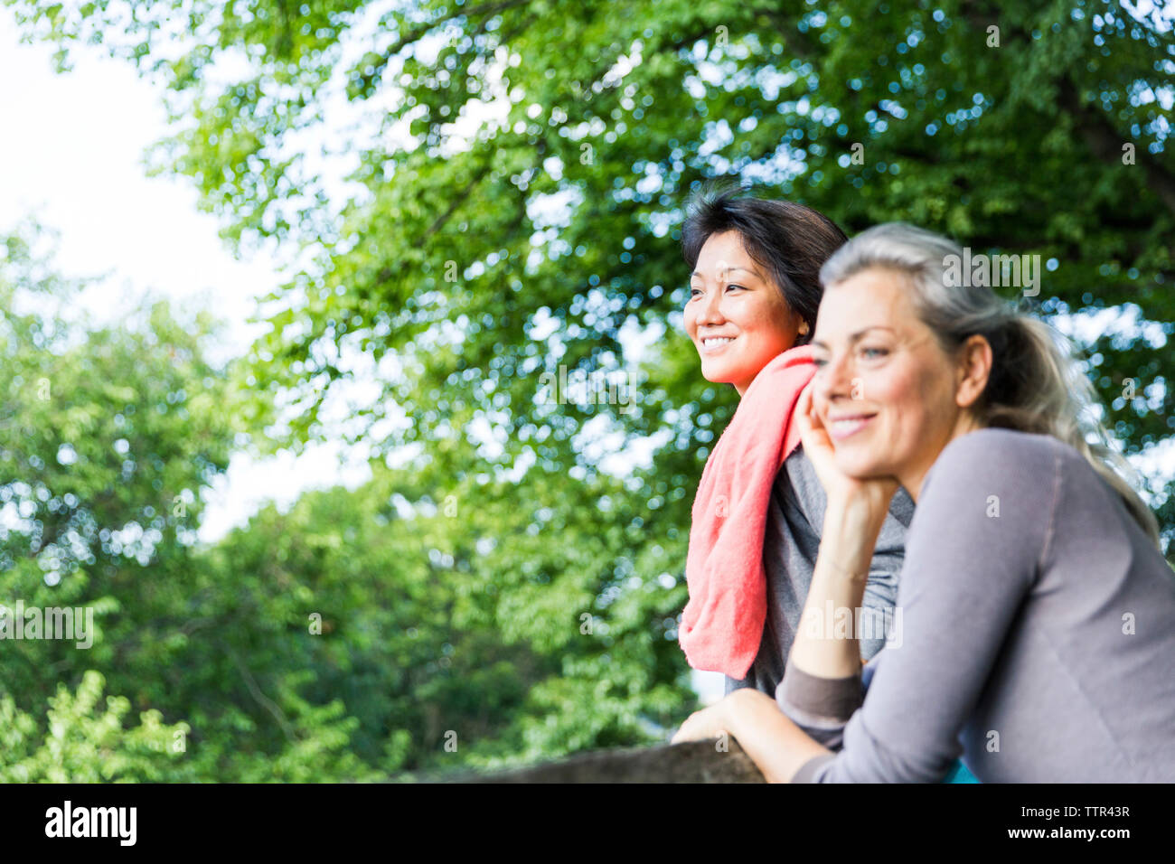 Amis de sexe féminin à la vue à l'encontre de branches Banque D'Images