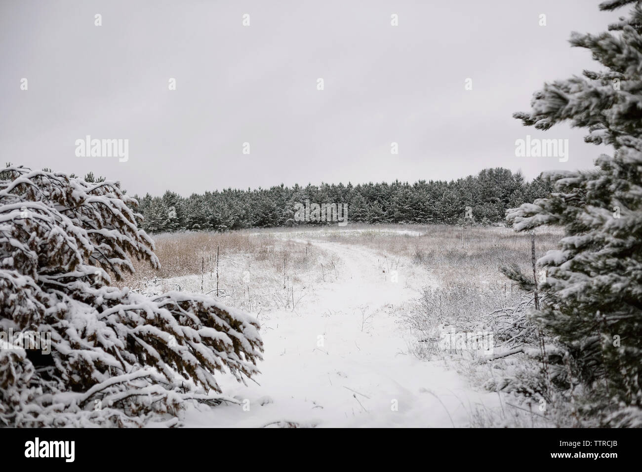 Vue panoramique du paysage contre le ciel au cours de l'hiver Banque D'Images