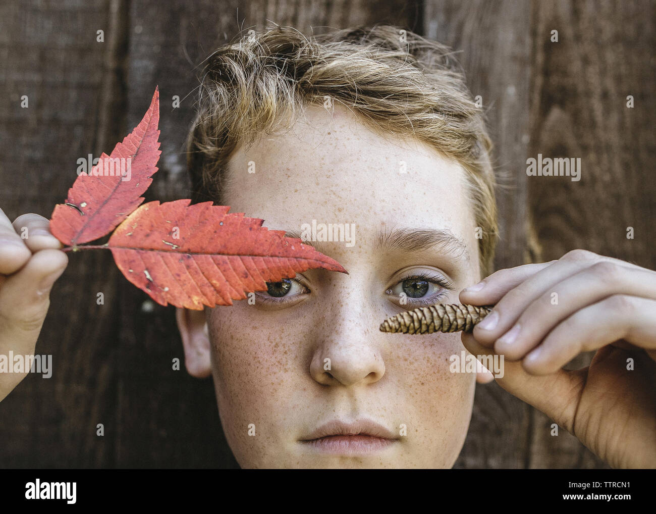 Close-up portrait of boy holding autumn leaves et cône de pin contre le bois Banque D'Images