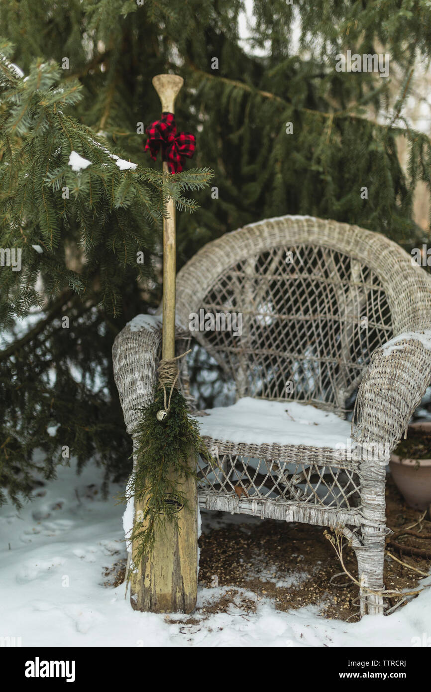 Rame décorée par chaise contre arbre pendant noël Banque D'Images