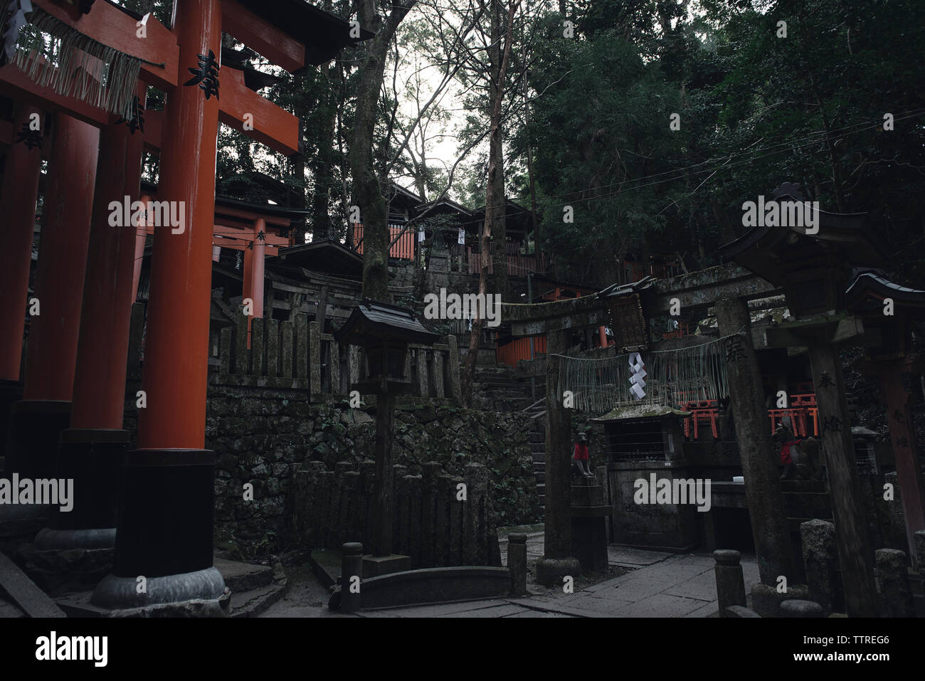 Tori Gate au sanctuaire Fushimi Inari Banque D'Images