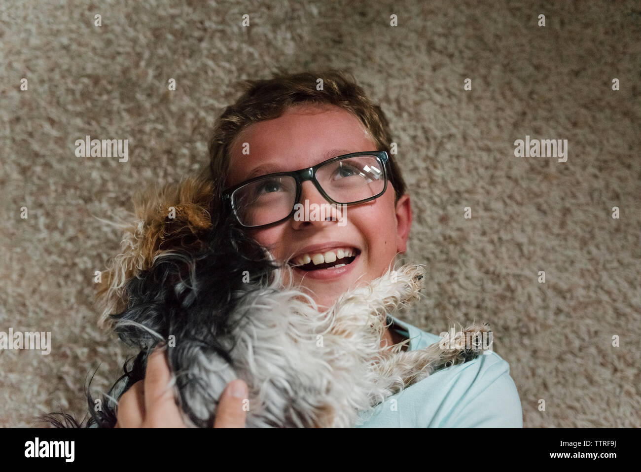 Close-up of happy boy embrassant Yorkshire Terrier en position couchée sur un tapis à la maison Banque D'Images