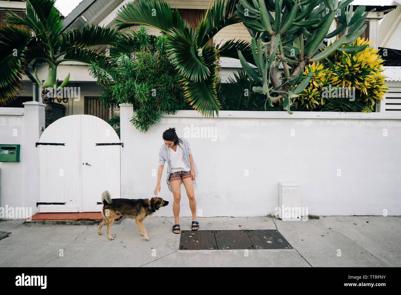 Woman with dog walking on sidewalk Banque D'Images