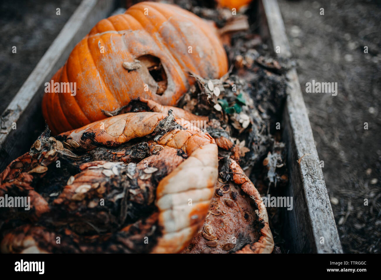 Déchets de citrouilles en creux Banque D'Images