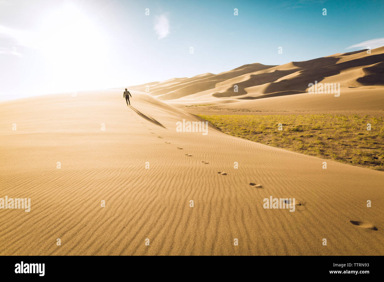 Vue arrière de l'homme insouciant marche sur le sable à Great Sand Dunes National Park au cours de journée ensoleillée Banque D'Images