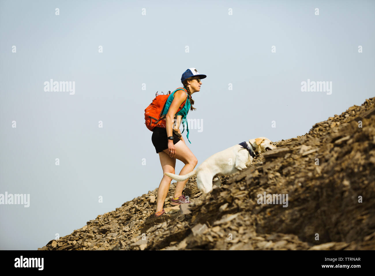 Vue latérale du sac à dos femme avec chien de montagne d'escalade contre ciel clair Banque D'Images