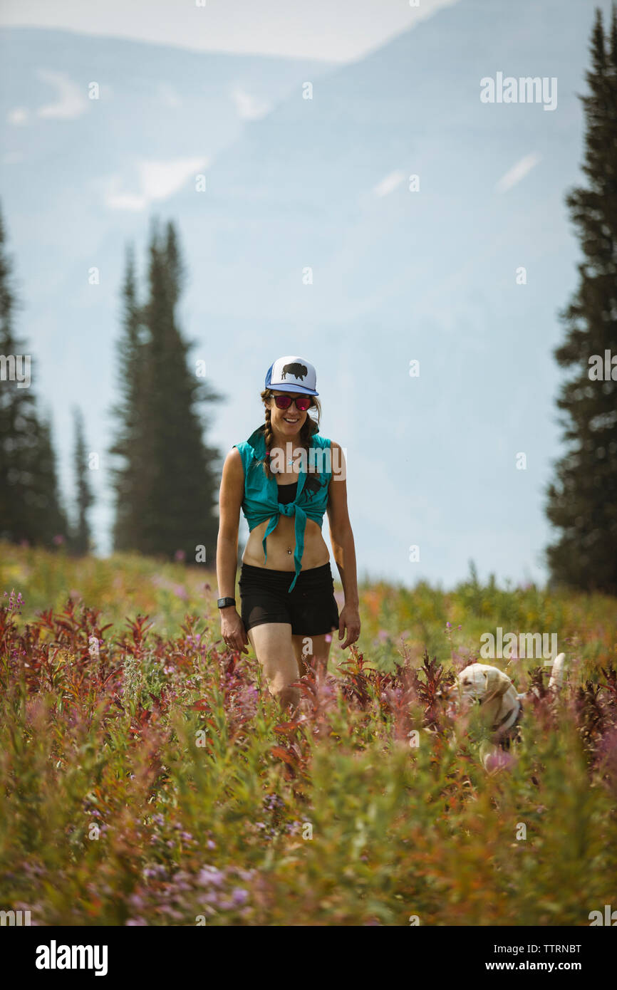 Femme avec chien marcher sur terrain Banque D'Images