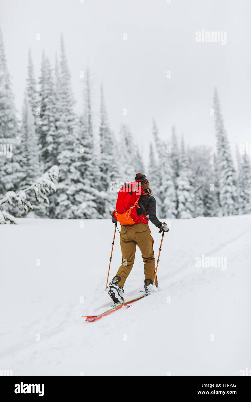 Les peaux de skieur sur un névé dans un paysage enneigé au Wyoming Banque D'Images