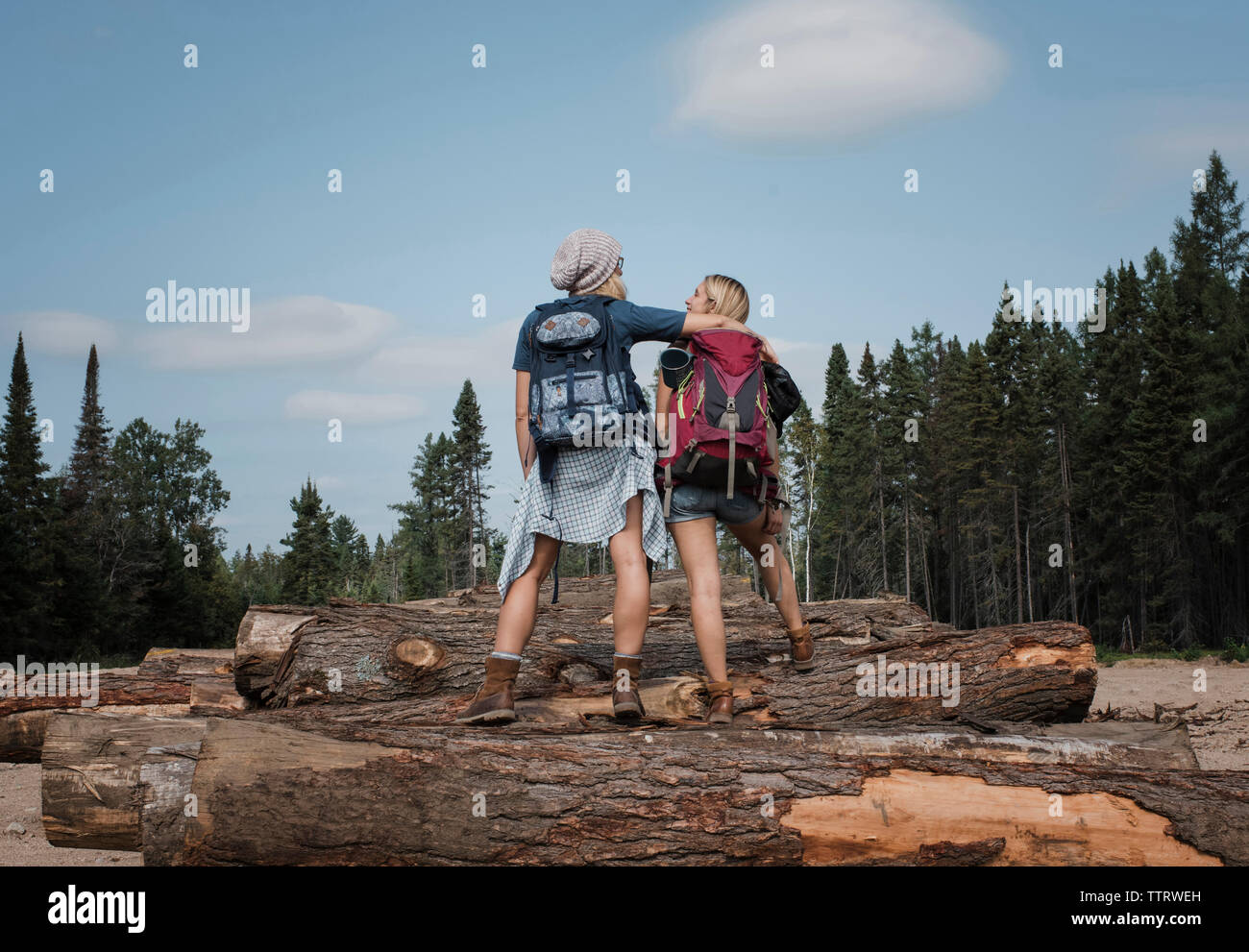 Vue arrière d'amies avec des sacs à dos l'article sur les billes contre le ciel au Parc Provincial Algonquin Banque D'Images