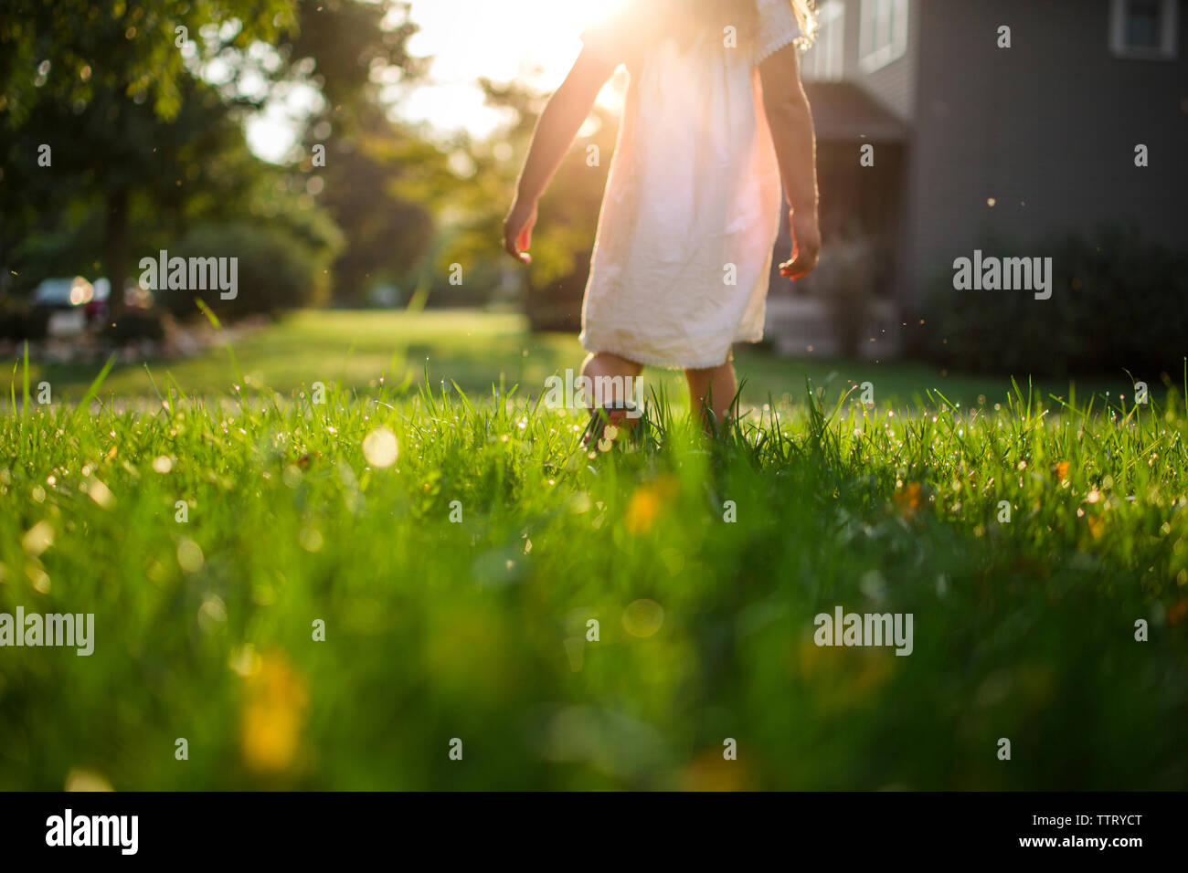 La section basse de girl standing on grassy field dans la cour pendant le lever du soleil Banque D'Images