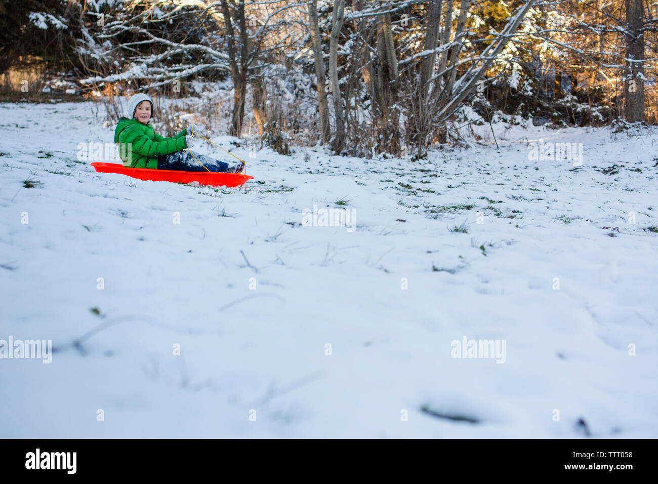 Un garçon heureux en traîneaux a snowy hill dans un jardin bordé d'arbres Banque D'Images