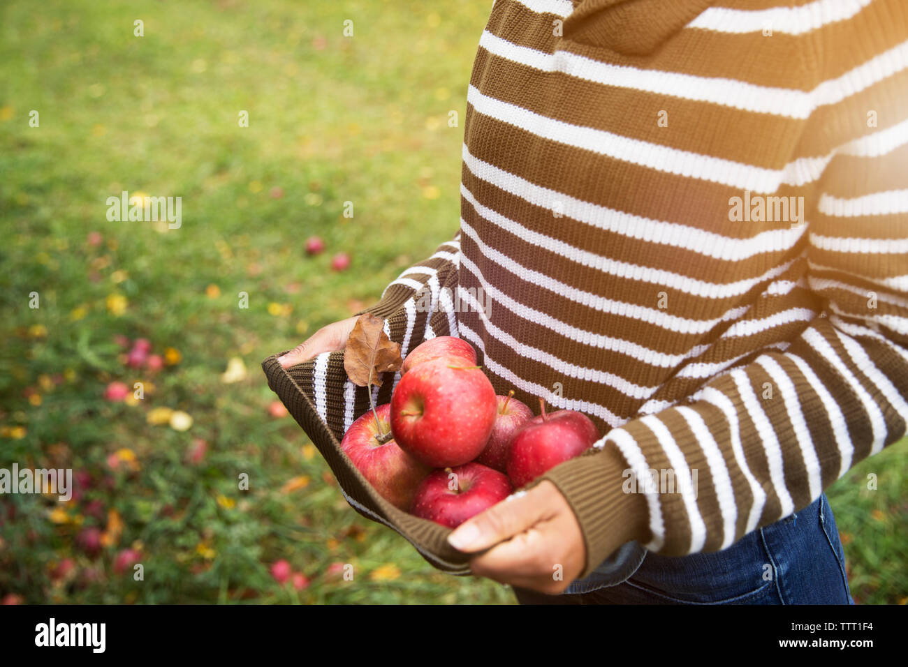 Portrait femme transportant les pommes debout dans Orchard Banque D'Images