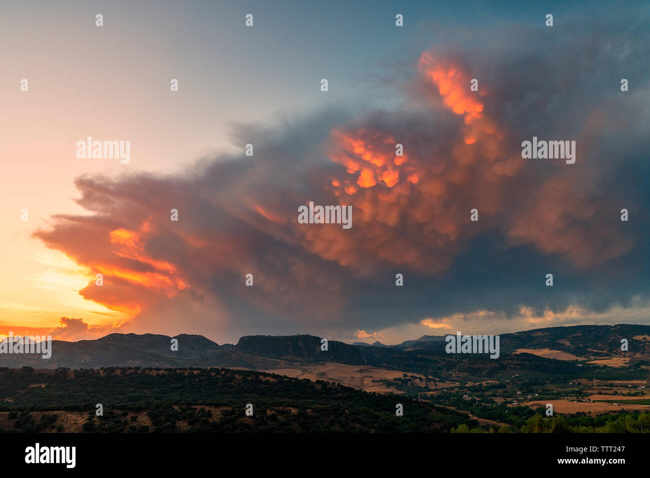 Coucher du soleil au-dessus de la vallée rurale dans parc naturel de la Sierra de las Nieves entourant Ronda, province de Malaga, Andalousie, Espagne Banque D'Images